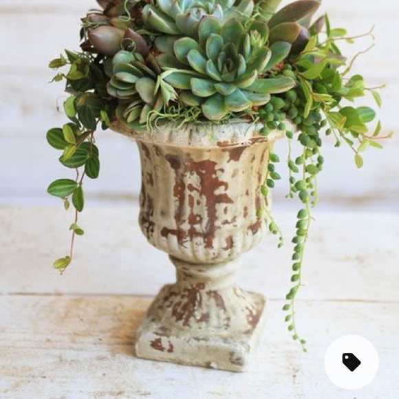 Meet your Posher, DuRand - Picture 4 of 4